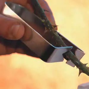 Gardeners Advantage Rose De-thorner